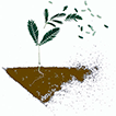 Finding “Fourth-Soil” People: Jesus’ Modus Operandi for Establishing a Movement