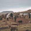 Herders and Their Amazing Economic Impact